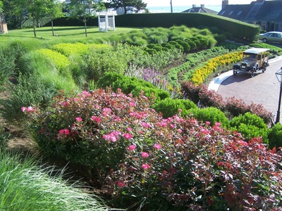 landscaped gardens
