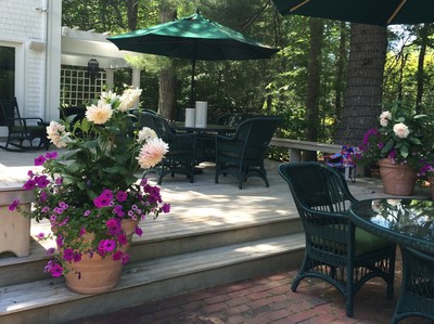 flower containers on patio and deck