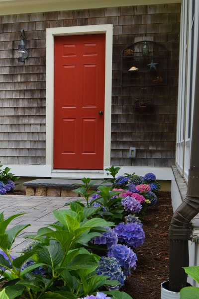 hydrangea garden and door