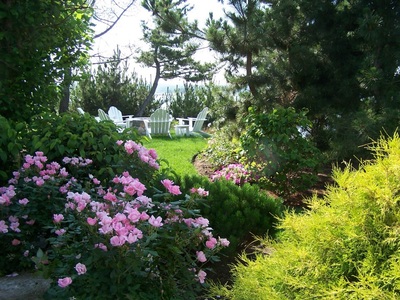 rose garden and lawn with seating